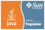 Sun Certified Programmer for the Java 2 Platform, SE 5.0 (SCJP)
